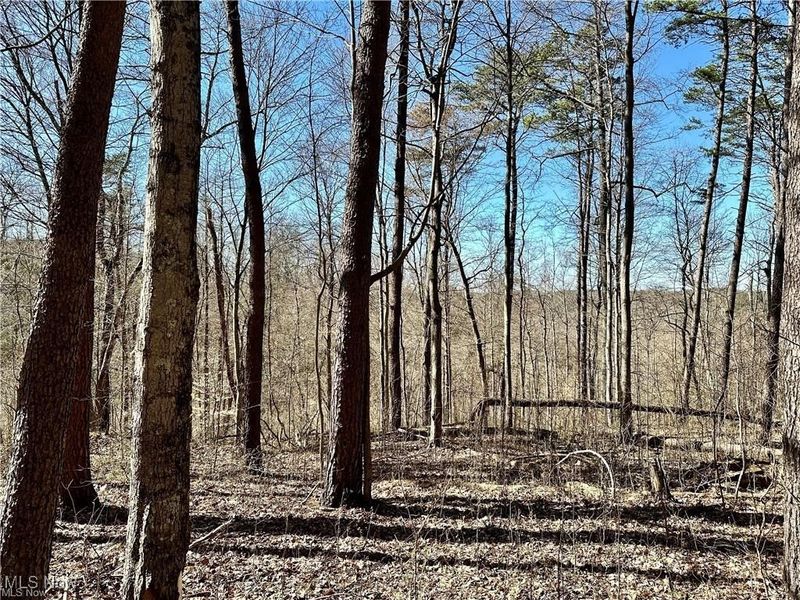 0 Fisher Ridge Rd, Tract 7, Fleming, OH 45729 Photo 3