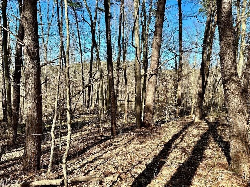 0 Fisher Ridge Rd, Tract 7, Fleming, OH 45729 Photo 6