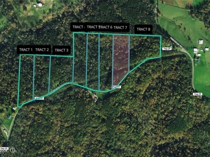 0 Fisher Ridge Rd, Tract 7, Fleming, OH 45729 Photo 7