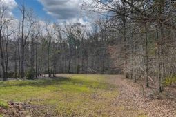 228 Winding Oak Way photo 4