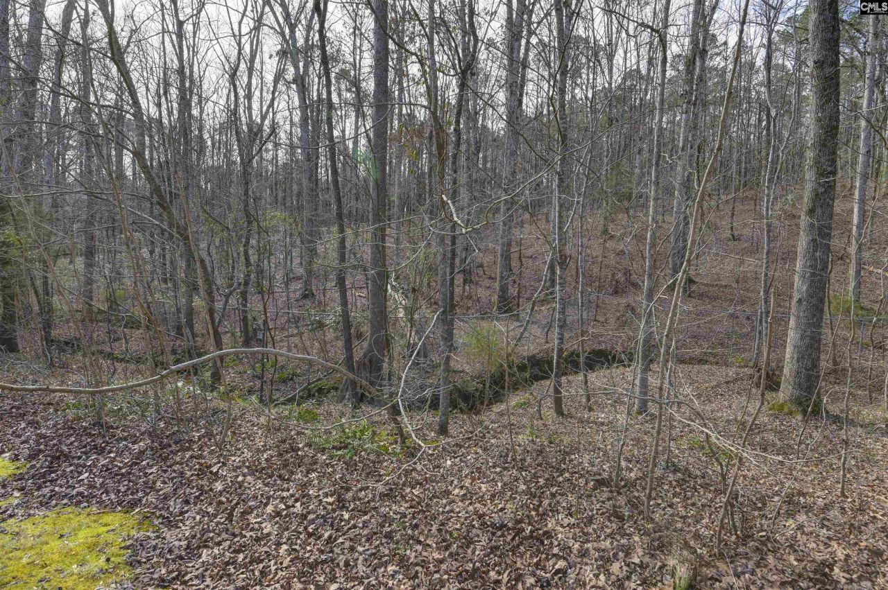 228 Winding Oak Way Photo 4