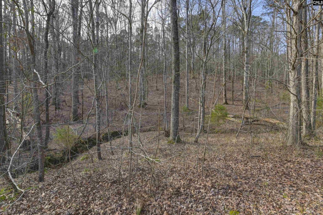 228 Winding Oak Way Photo 5