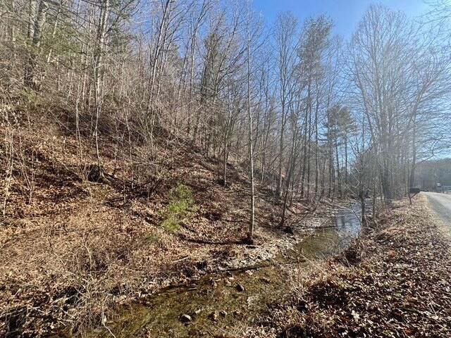 0 Ogle Creek Rd, Covington, VA 24426 Main Photo