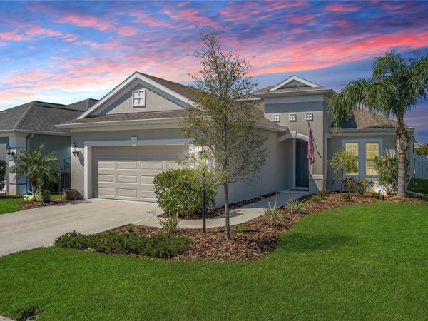 10914 BLUE MAGNOLIA LANE, PARRISH, FL 34219