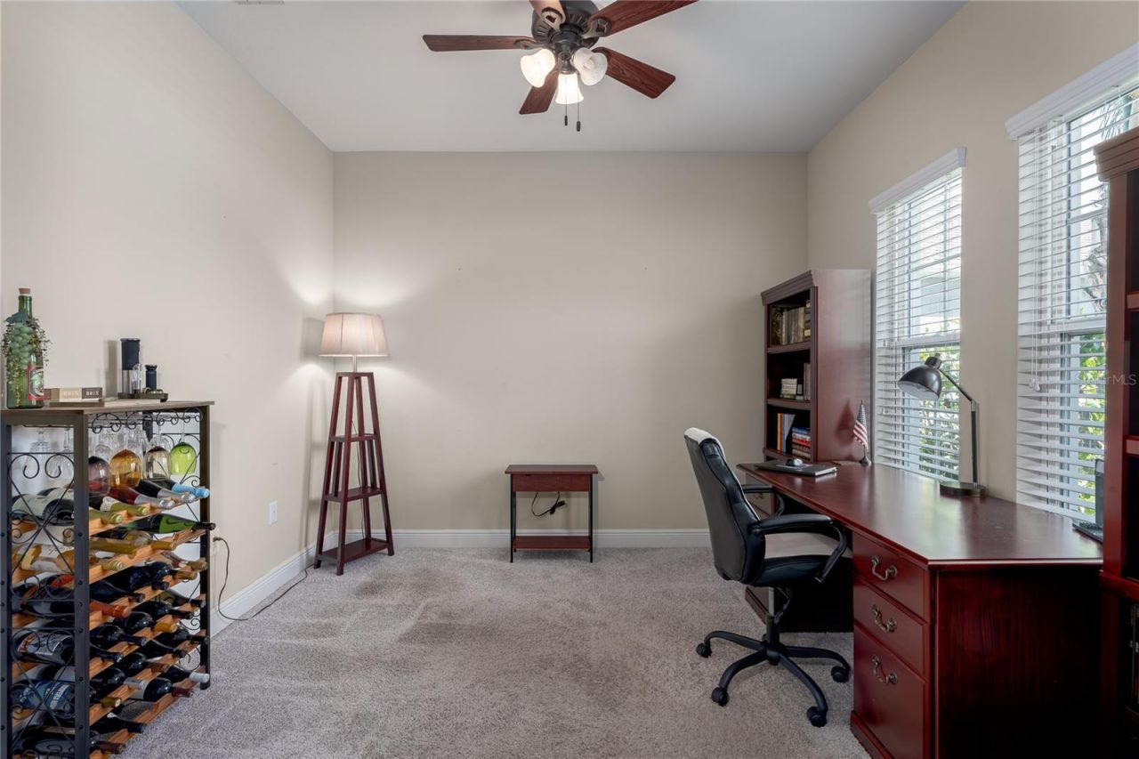 10914 Blue Magnolia Lane, Parrish, FL 34219 Photo