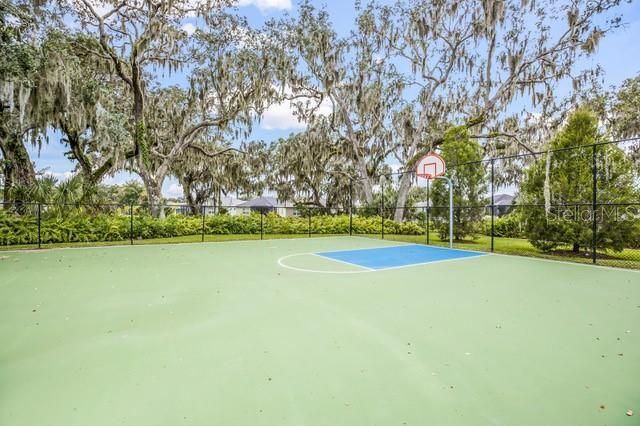 10914 Blue Magnolia Lane, Parrish, FL 34219 Photo