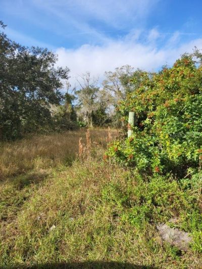 26700 State Rd 70 E, Myakka City, FL 34251 Photo