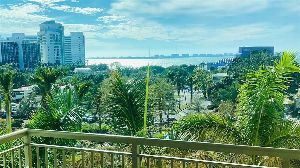 800 N Tamiami Trail, Unit 509, Sarasota, FL 34236 Photo