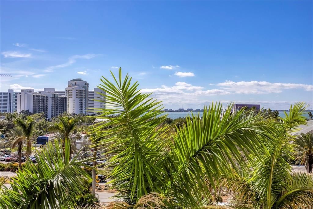 800 N Tamiami Trail, Unit 509, Sarasota, FL 34236 Photo