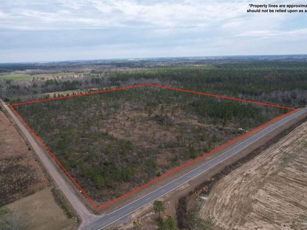 000 Nokomis Rd, Walnut Hill, FL 32568