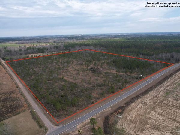 000 Nokomis Rd, Walnut Hill, FL 32568