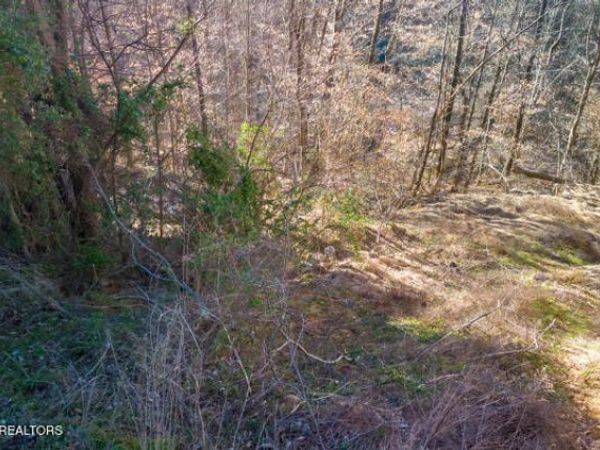 636 Stockton Drive, Sevierville, TN 37876