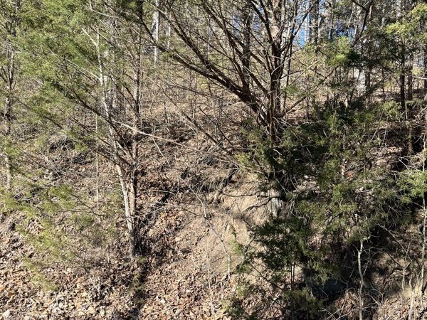 0 Davis Hollow, Dowelltown, TN 37059