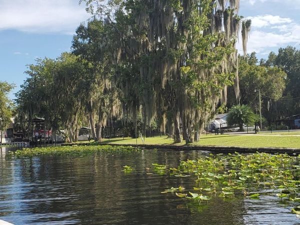 117 PARK Drive, Satsuma, FL 32189