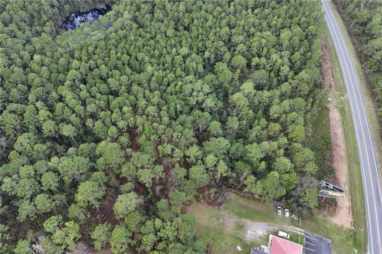 12320 E Hwy 40, Silver Springs, FL 34488 Photo