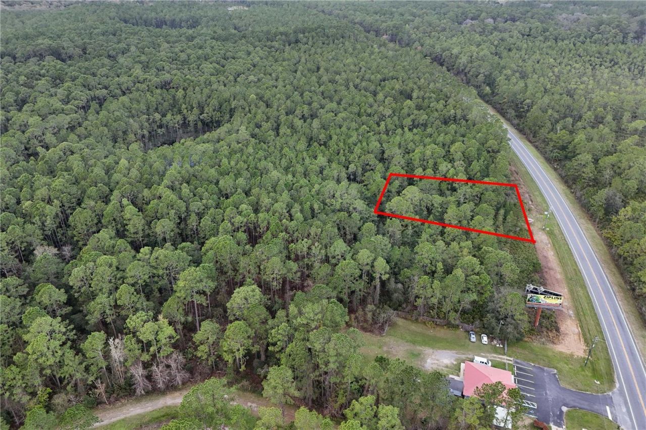 12320 E Hwy 40, Silver Springs, FL 34488 Photo