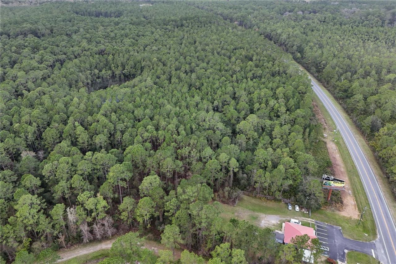 12320 E Hwy 40, Silver Springs, FL 34488 Photo