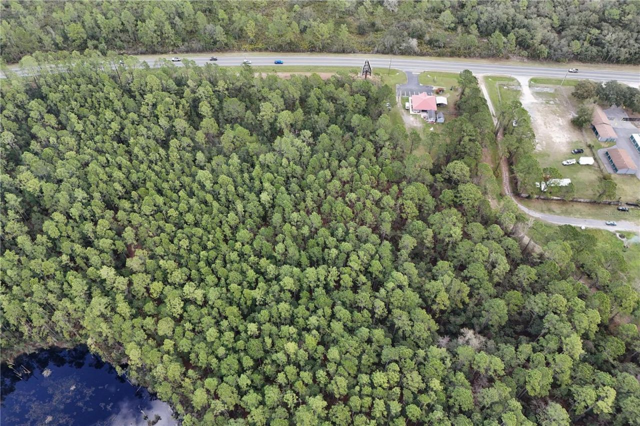 12320 E Hwy 40, Silver Springs, FL 34488 Photo