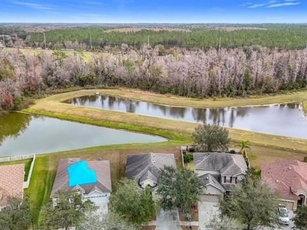 10918 ANCIENT FUTURES DRIVE, TAMPA, FL 33647
