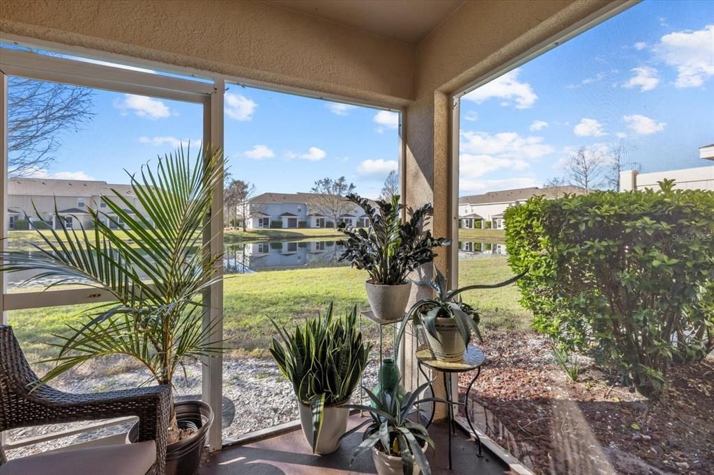 14932 Amberjack Terrace, Lakewood Ranch, FL 34202 Photo