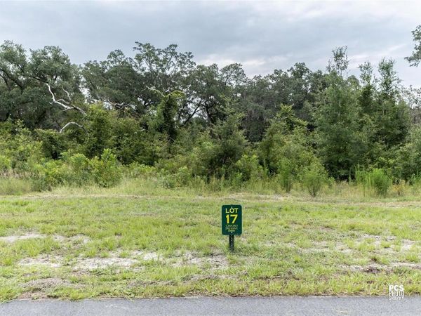 1417 OXFORD PRESERVE TRL, OXFORD, FL 34484