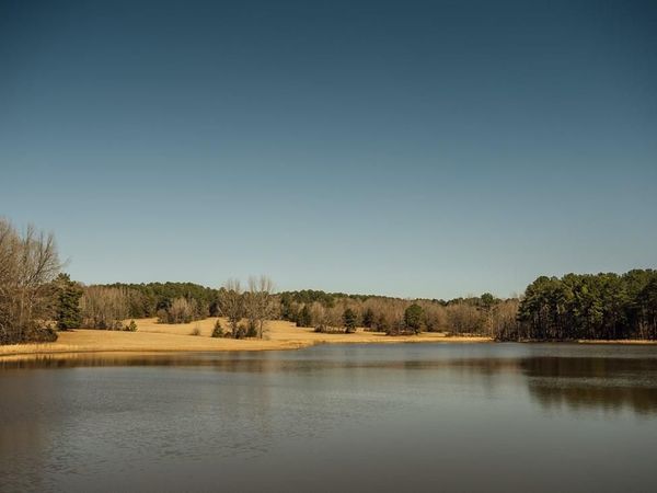 2335 County Road 211, Coffeeville, MS 38922