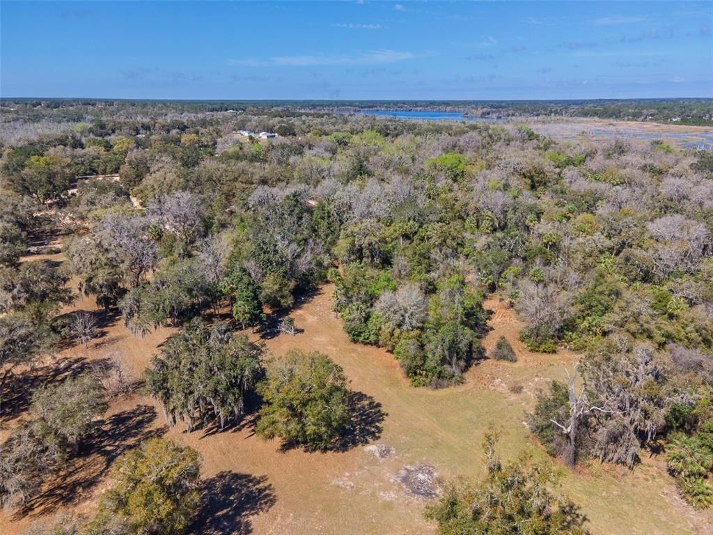 17482 SE 34th Lane, Ocklawaha, FL 32179 Photo