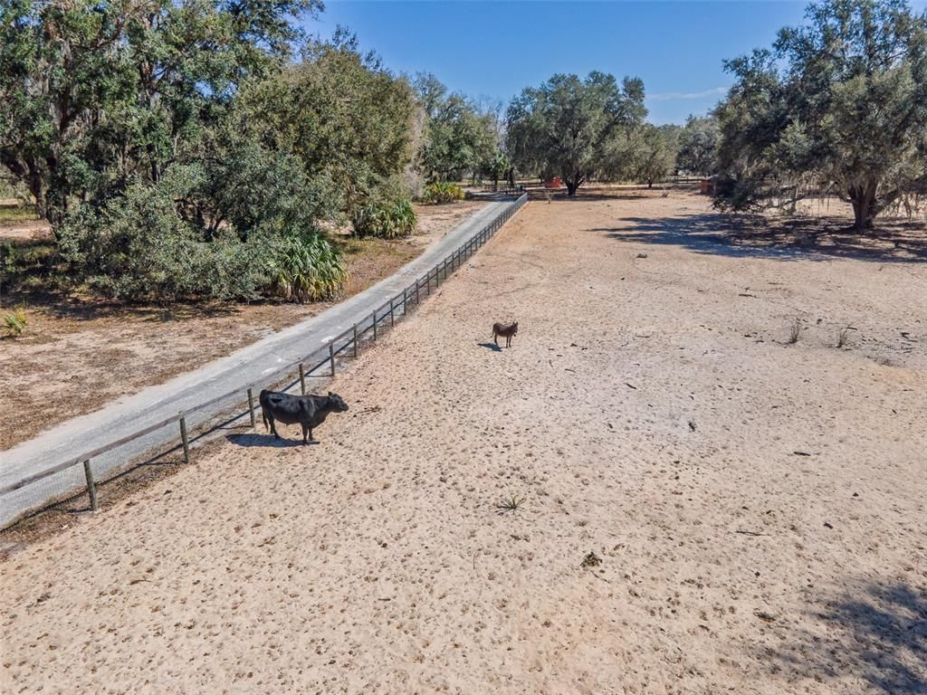 17482 SE 34th Lane, Ocklawaha, FL 32179 Photo