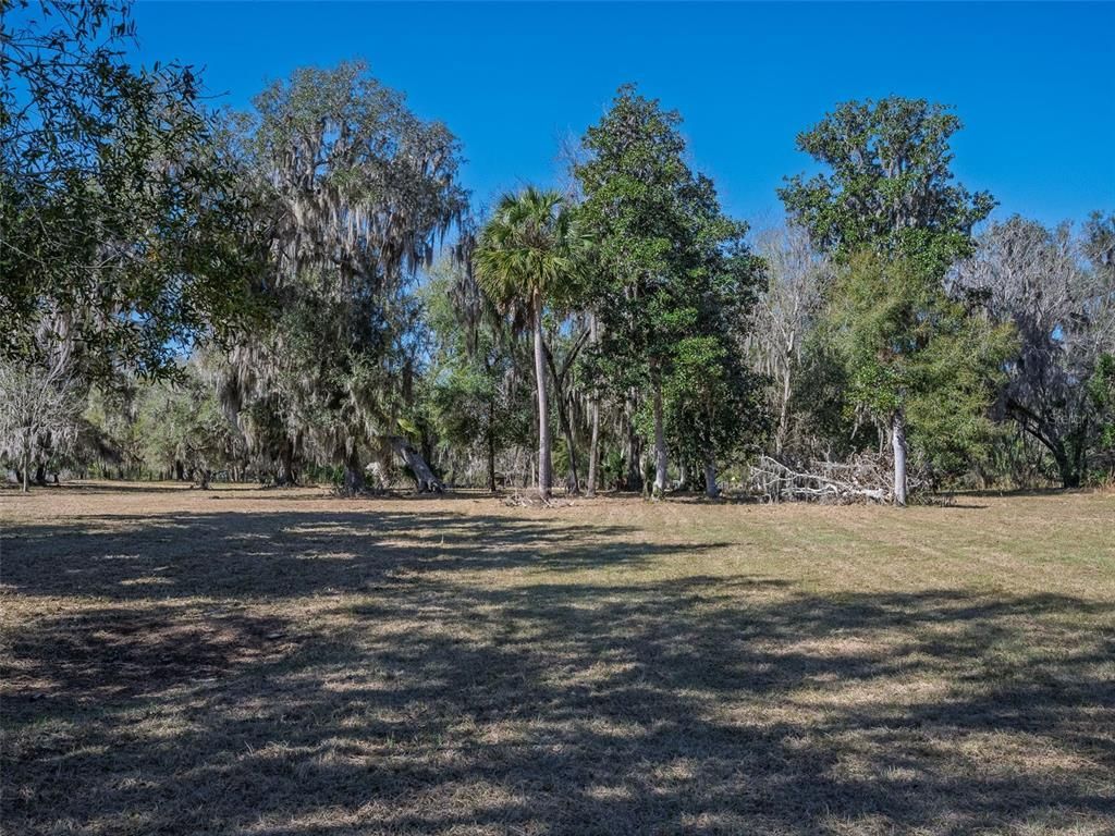 17482 SE 34th Lane, Ocklawaha, FL 32179 Photo