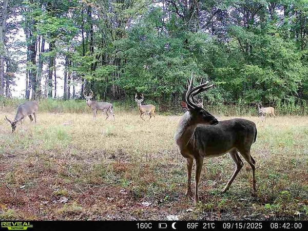 6075 Curtis Road, Batesville, MS 38606