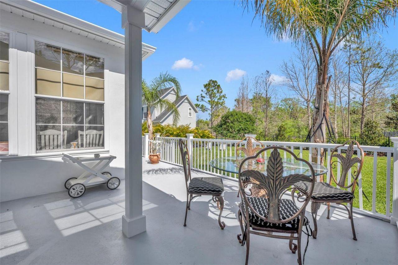 807 Oak Shadows Road, Celebration, FL 34747 Photo