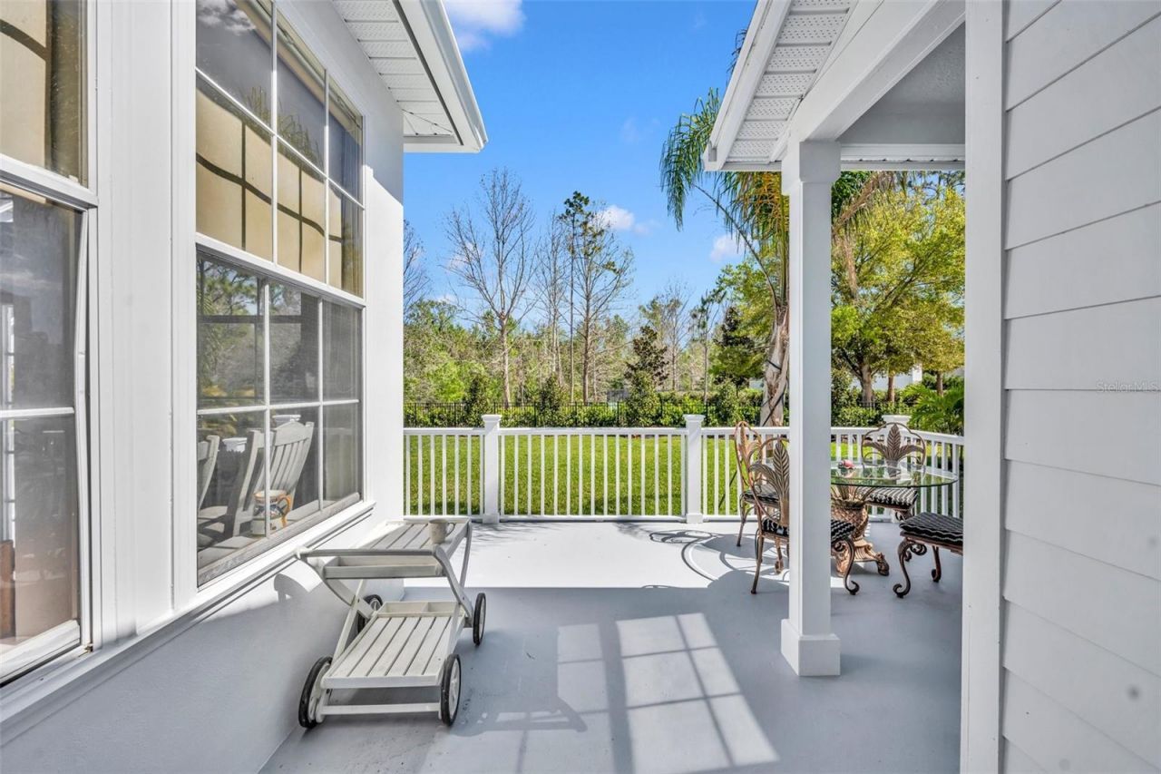 807 Oak Shadows Road, Celebration, FL 34747 Photo