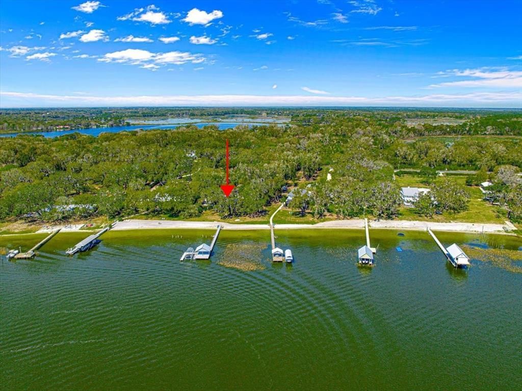 12336 E Highway 25, Ocklawaha, FL 32179 Photo