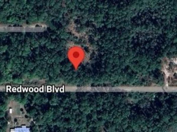 324 REDWOOD BOULEVARD, GEORGETOWN, FL 32139