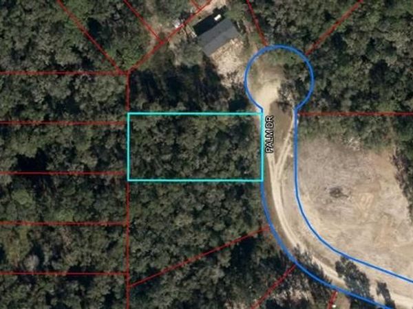 155 PALM DRIVE, BRONSON, FL 32621