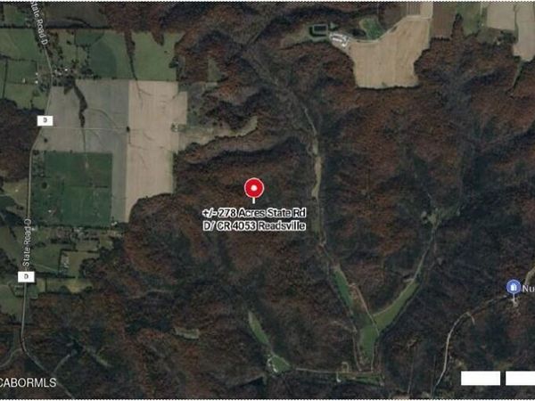 TBD +/-278 AC STATE RD D/CR 4053 , Readsville, MO 65067