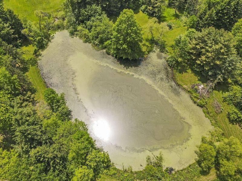 3388 Outville Road, Granville, OH 43023 Photo 51