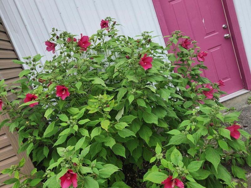 14105 Portie Flamingo Road, Corning, OH 43730 Photo 58