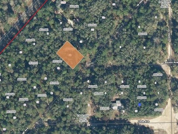 118 W HILLSBOROUGH AVENUE, FLORAHOME, FL 32140