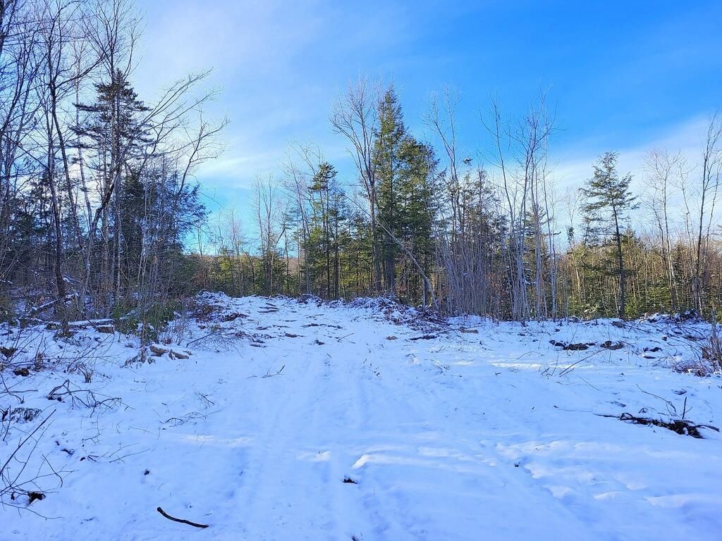 Lot 62.2 Reeds Mill Road, Madrid Township, ME 04966 Main Photo