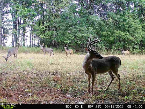 Curtis Road, Batesville, MS 38606