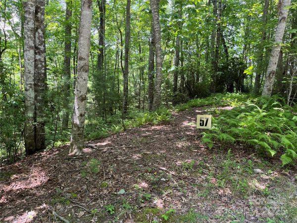 57 Big Branch Road, Brevard, NC 28712