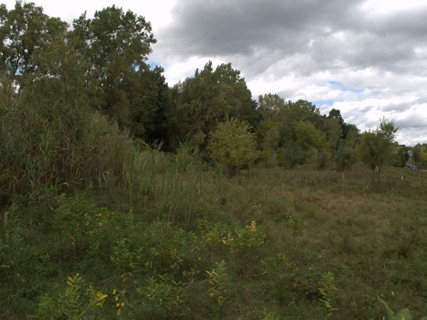 3847 Lake Vista Drive, Dexter, MI 48130