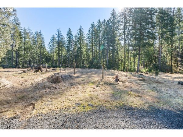 Alma DR, McKenzie Bridge, OR 97413
