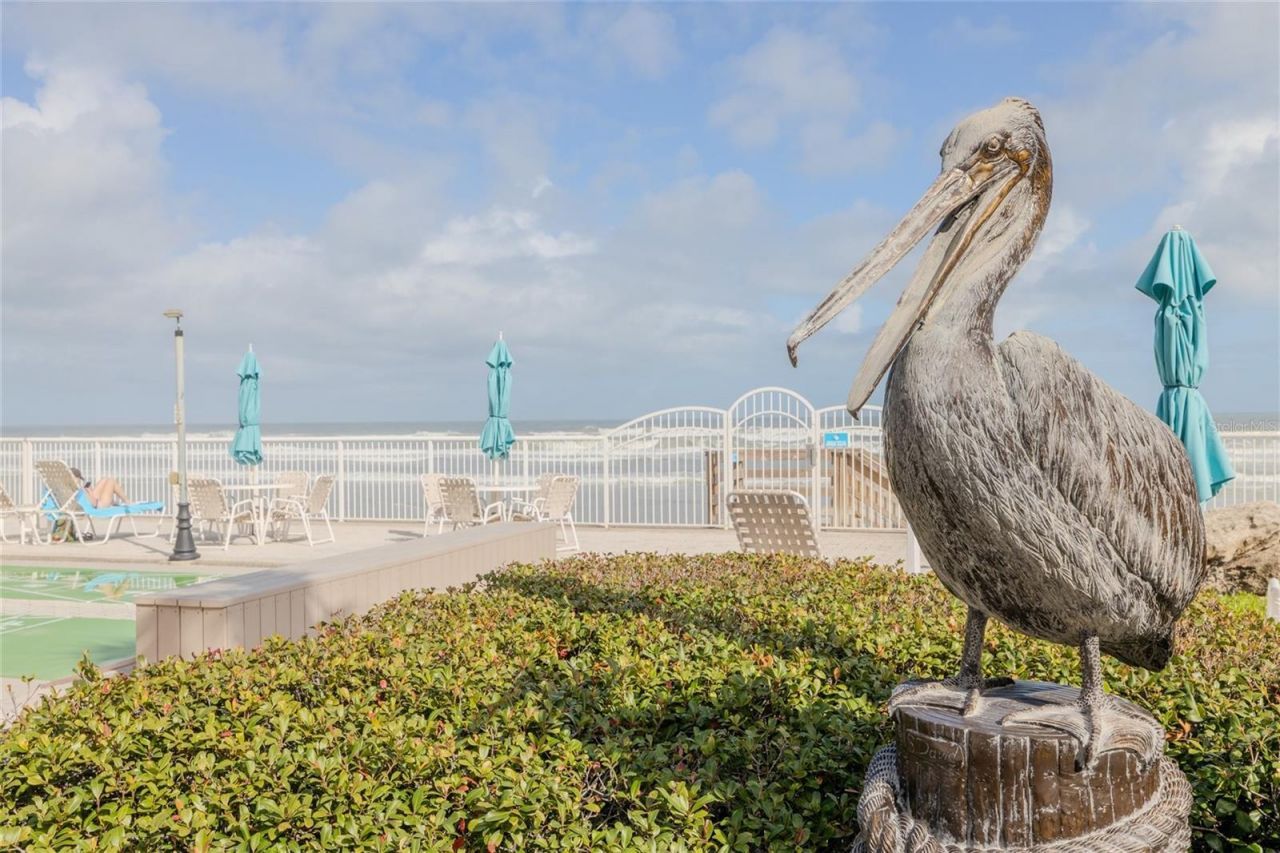 2401 S Atlantic Avenue, Unit A604, New Smyrna Beach, FL 32169 Photo