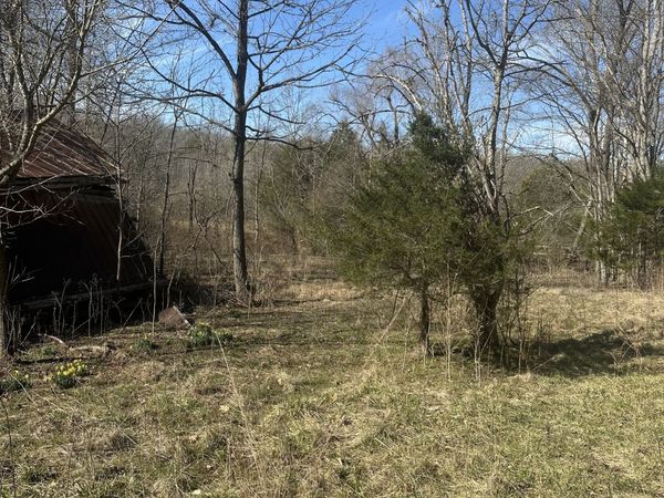 0 Buck Branch Rd, Duck River, TN 38454