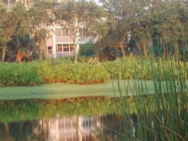 26930 Wedgewood DR, Unit 202, BONITA SPRINGS, FL 34134