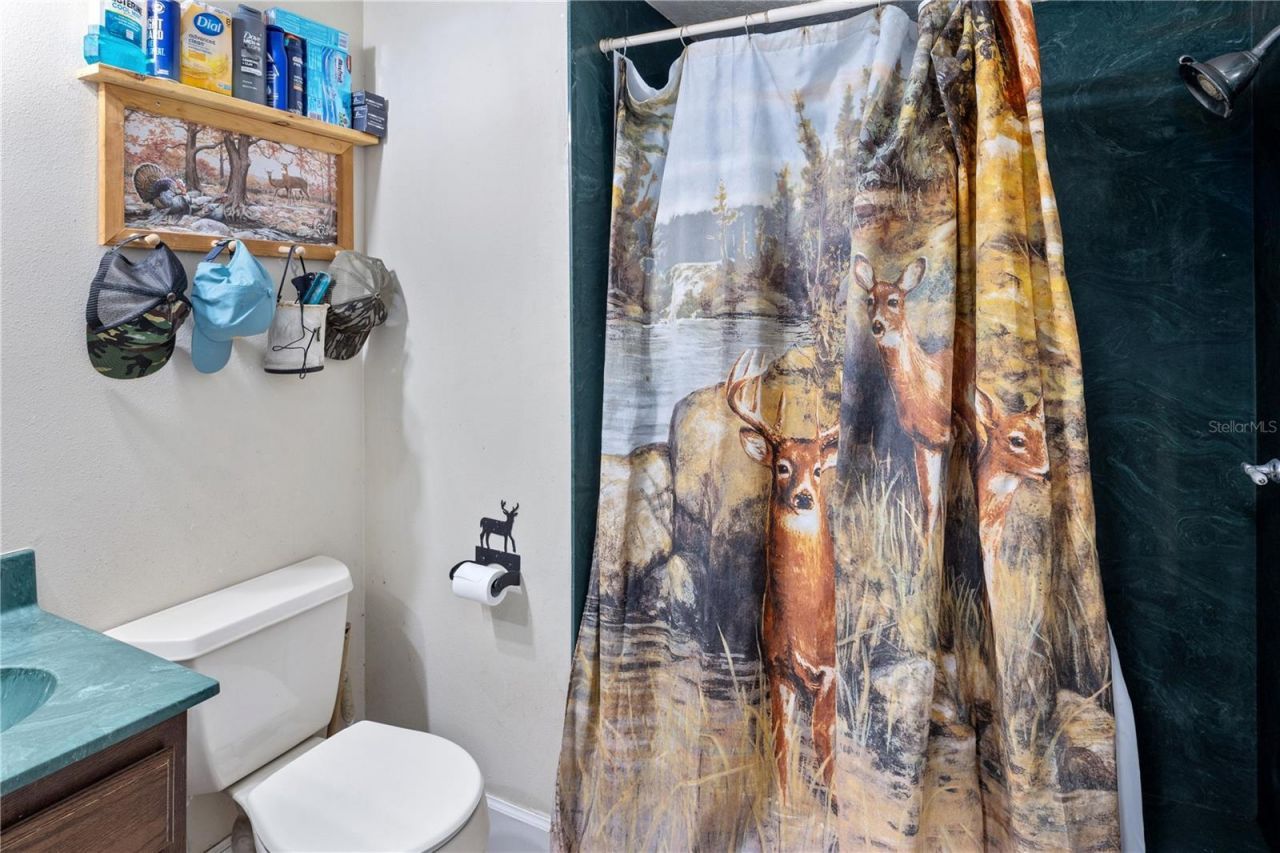 993 Cr 722, Webster, FL 33597 Photo