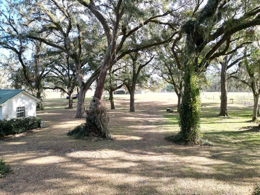 993 Cr 722, Webster, FL 33597 Photo