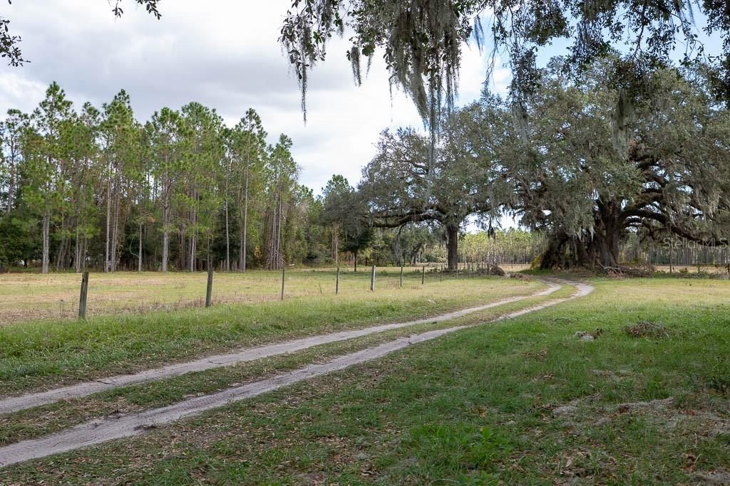 993 Cr 722, Webster, FL 33597 Photo